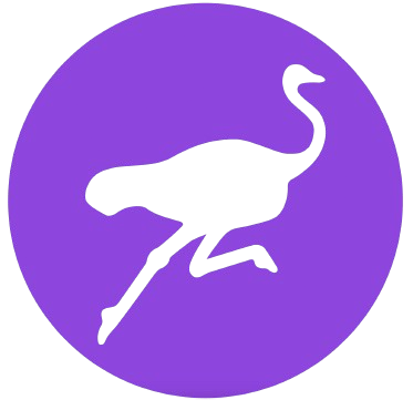 Nostr Logo